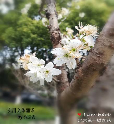 //wangzhancr.com/__local/0/57/0F/CA3A8440F354120DF2A42439B9B_9D94EB90_712D.jpg