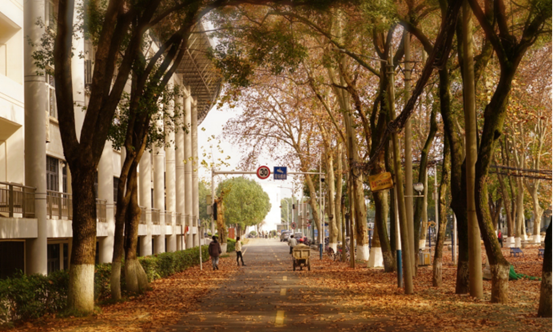 说明: //rcb.wangzhancr.com/__local/F/DC/AD/26AAF68465C39908E951504ECA2_E70C2E5D_119062.png